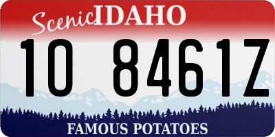 ID license plate 1O8461Z