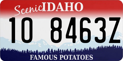 ID license plate 1O8463Z