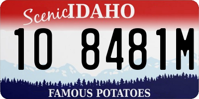 ID license plate 1O8481M