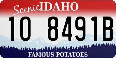 ID license plate 1O8491B