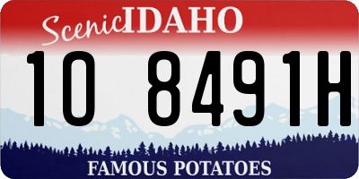 ID license plate 1O8491H