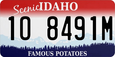 ID license plate 1O8491M