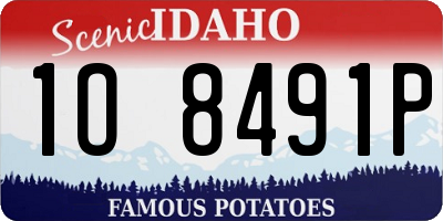 ID license plate 1O8491P