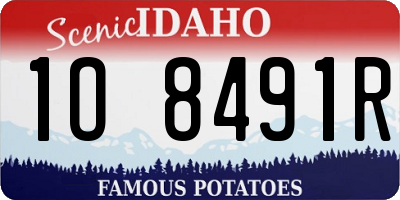 ID license plate 1O8491R