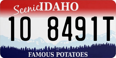 ID license plate 1O8491T