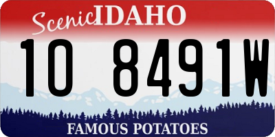 ID license plate 1O8491W