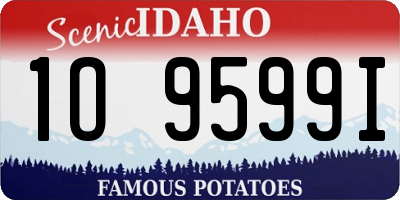 ID license plate 1O9599I
