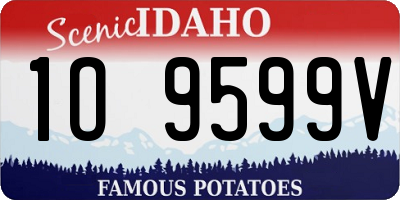 ID license plate 1O9599V