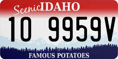 ID license plate 1O9959V