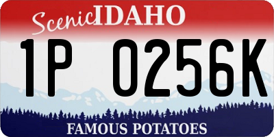 ID license plate 1P0256K