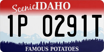ID license plate 1P0291T