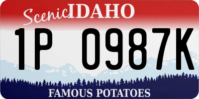 ID license plate 1P0987K