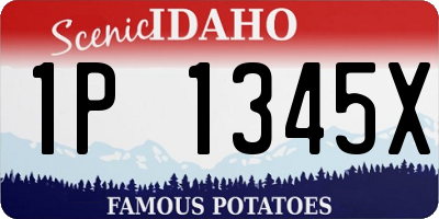 ID license plate 1P1345X