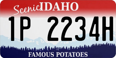 ID license plate 1P2234H