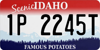 ID license plate 1P2245T
