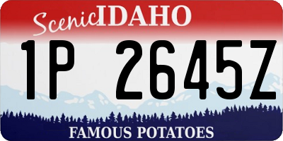ID license plate 1P2645Z