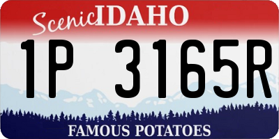 ID license plate 1P3165R