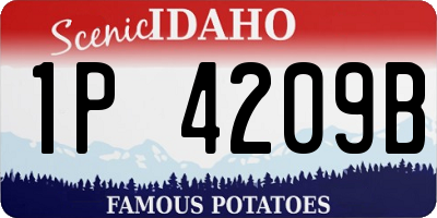 ID license plate 1P4209B