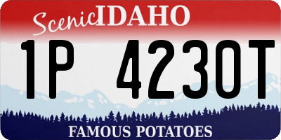 ID license plate 1P4230T