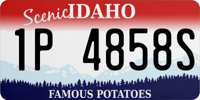ID license plate 1P4858S