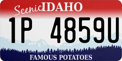 ID license plate 1P4859U