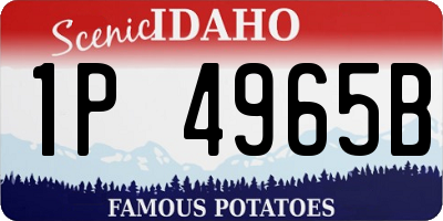 ID license plate 1P4965B