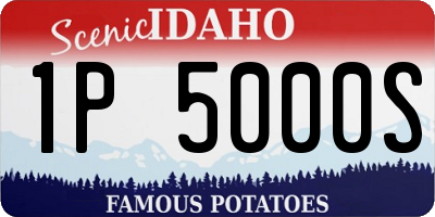 ID license plate 1P5000S