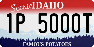 ID license plate 1P5000T