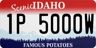 ID license plate 1P5000W