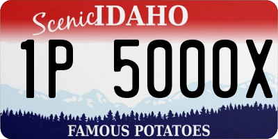 ID license plate 1P5000X