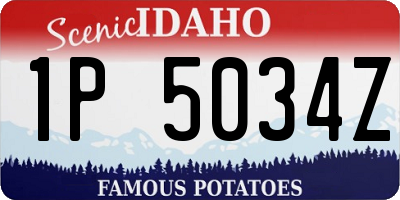 ID license plate 1P5034Z