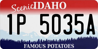 ID license plate 1P5035A