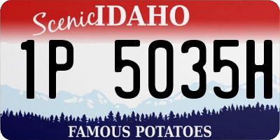ID license plate 1P5035H