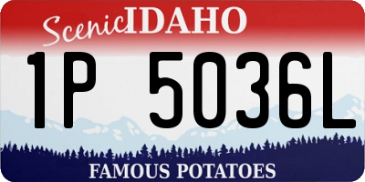 ID license plate 1P5036L