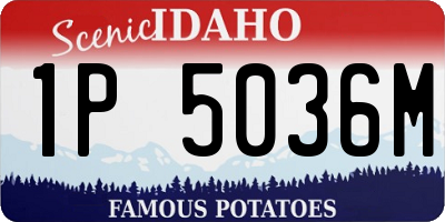 ID license plate 1P5036M