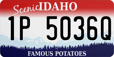 ID license plate 1P5036Q
