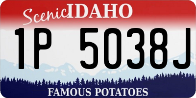 ID license plate 1P5038J