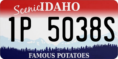 ID license plate 1P5038S