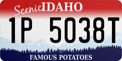 ID license plate 1P5038T