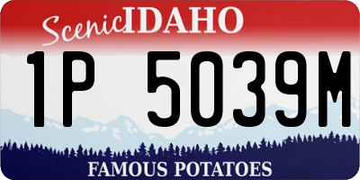 ID license plate 1P5039M