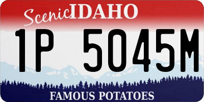 ID license plate 1P5045M