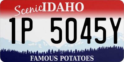 ID license plate 1P5045Y