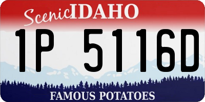 ID license plate 1P5116D