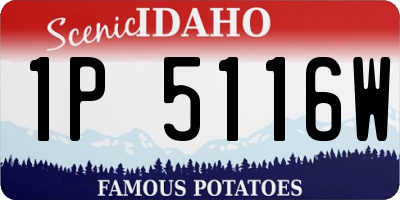ID license plate 1P5116W