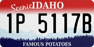 ID license plate 1P5117B