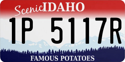 ID license plate 1P5117R
