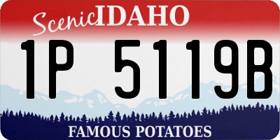 ID license plate 1P5119B