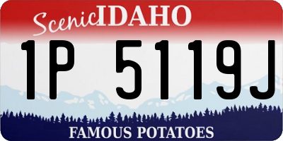 ID license plate 1P5119J