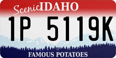 ID license plate 1P5119K