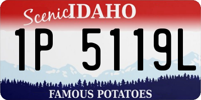 ID license plate 1P5119L